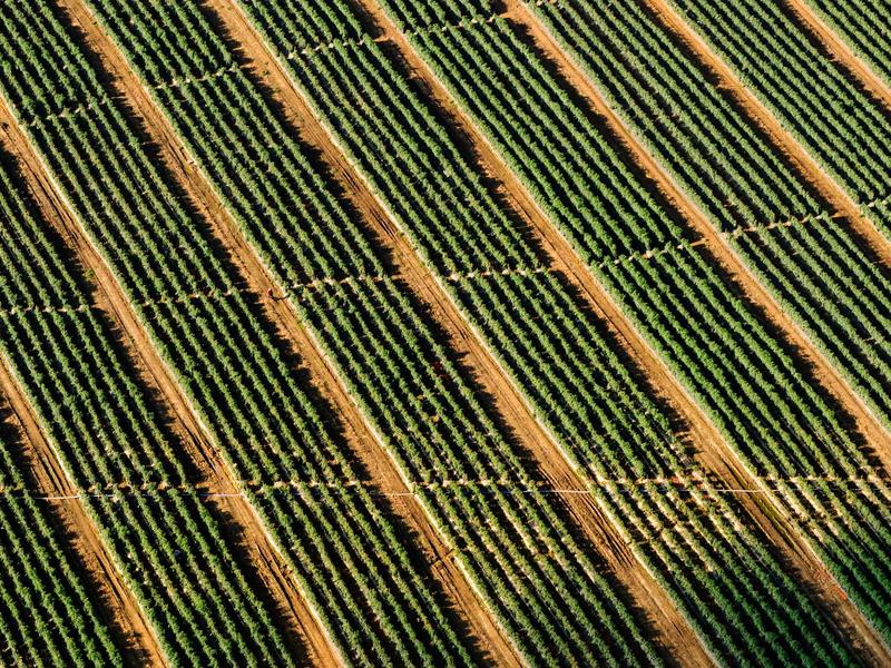 Small Business Glazing